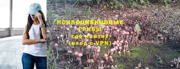 прущий лед Белокуриха